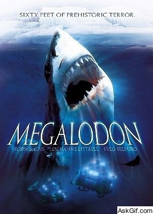 Megalodon