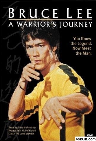 Bruce Lee: A Warrior's Journey