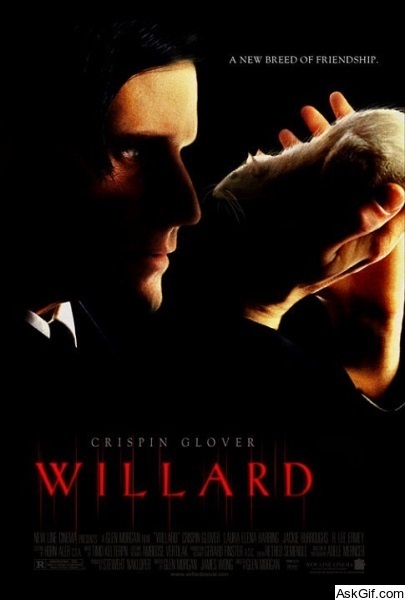 Willard