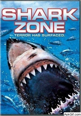 Shark Zone
