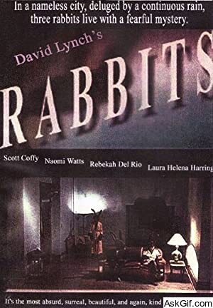 Rabbits