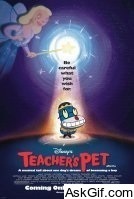 Teacher's Pet