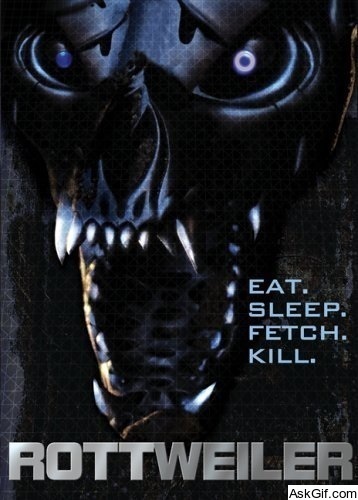 Rottweiler