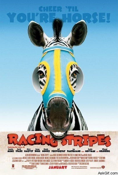 Racing Stripes
