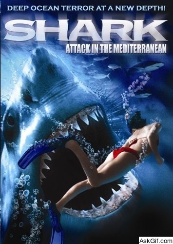 Shark Attack in the Mediterranean