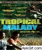 Tropical Malady