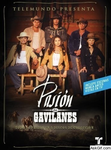 Pasión de Gavilanes