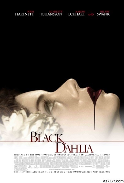 The Black Dahlia