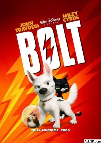 Bolt