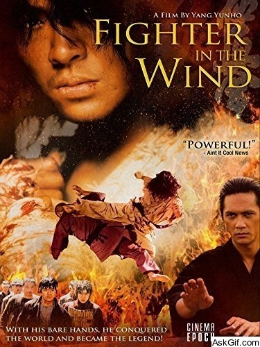 Fighter in the Wind