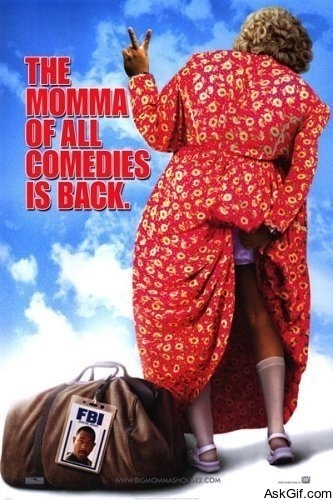 Big Momma's House 2