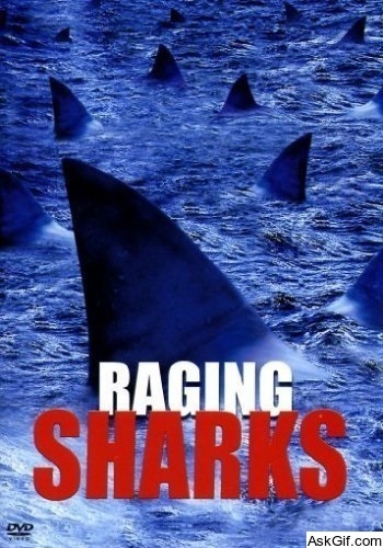 Raging Sharks