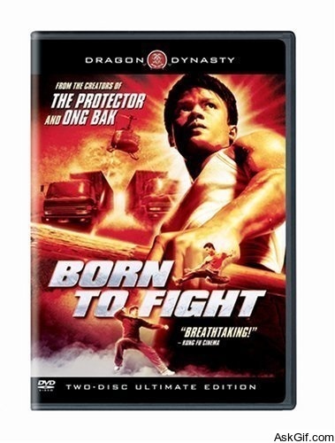 Born to Fight