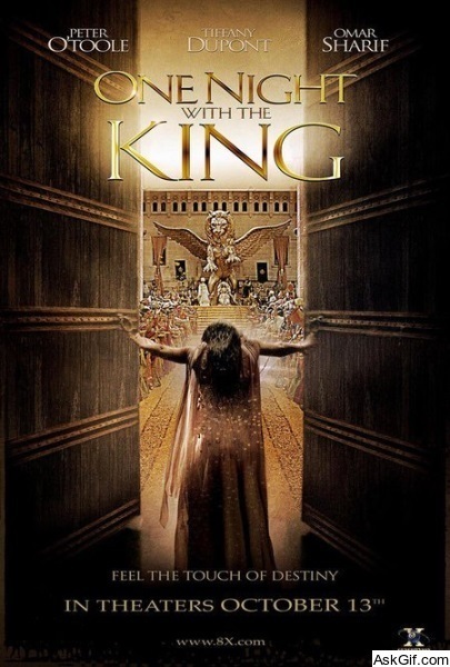 One Night with the King