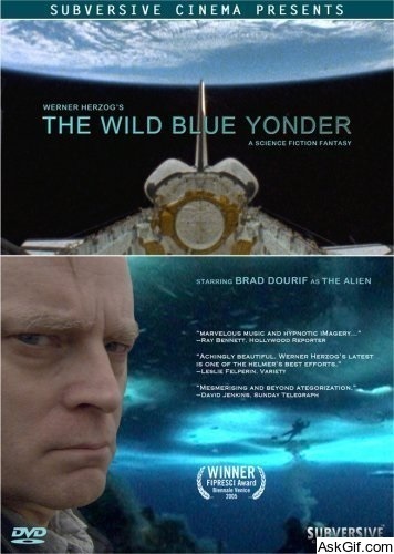 The Wild Blue Yonder