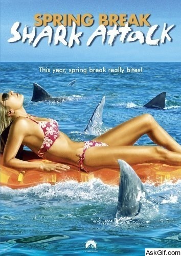 Spring Break Shark Attack