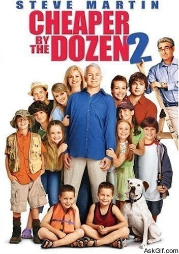 Cheaper by the Dozen 2