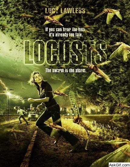 Locusts