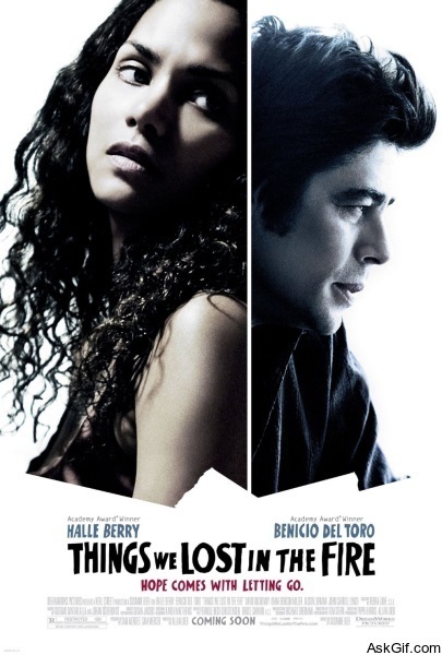 Things We Lost in the Fire