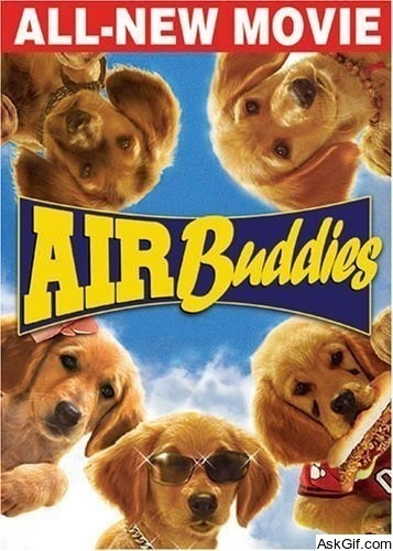 Air Buddies