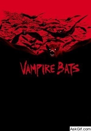 Vampire Bats