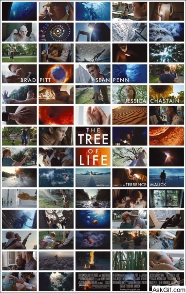 The Tree of Life