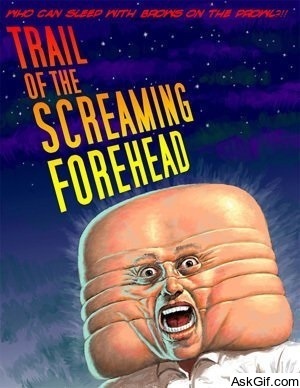 Trail of the Screaming Forehead