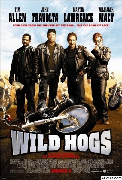 Wild Hogs