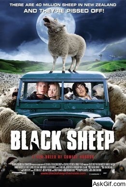 Black Sheep