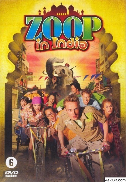 Zoop in India