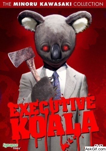 Executive Koala