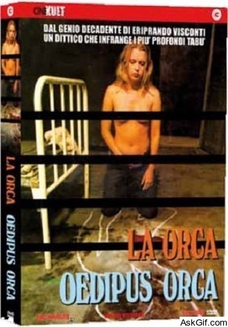 Oedipus orca