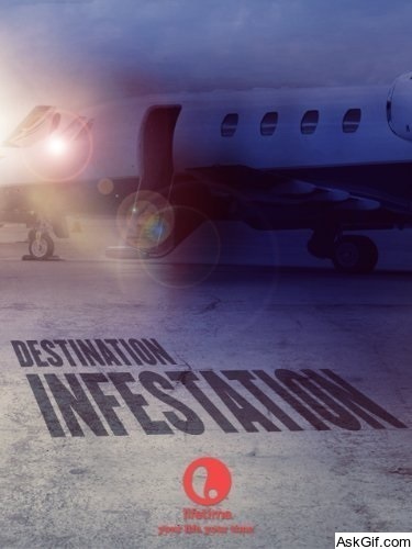 Destination: Infestation