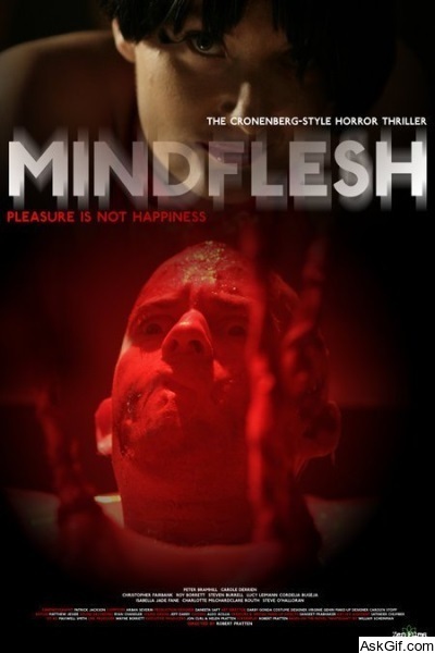 MindFlesh