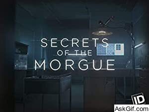 Secrets of the Morgue
