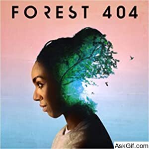 Forest 404