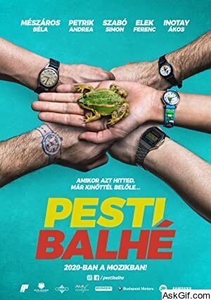 Pesti balhé
