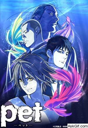 Pet