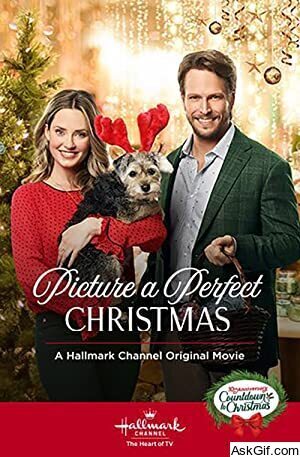 Picture a Perfect Christmas