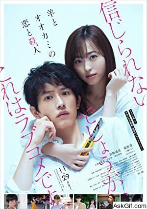 Love and Murder of Sheep and Wolf