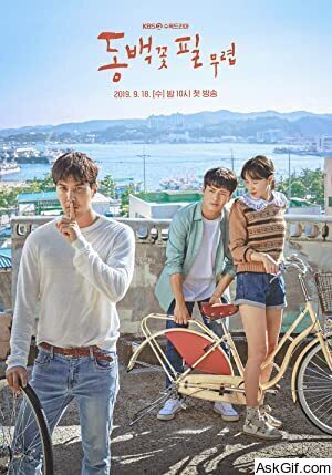 When the Camellia Blooms