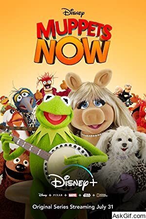 Muppets Now