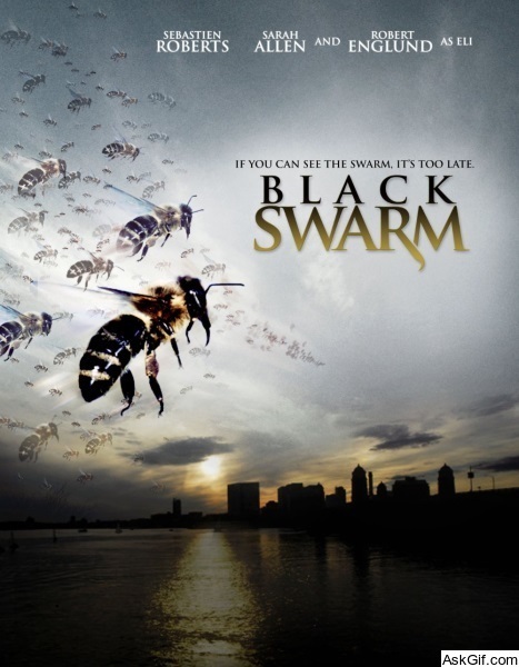 Black Swarm