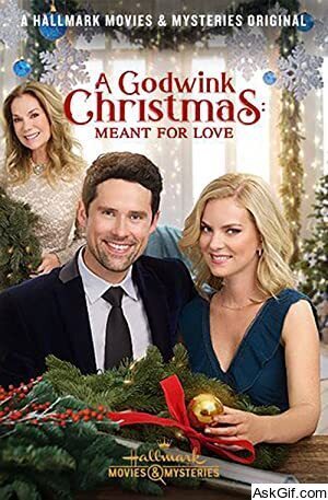 A Godwink Christmas: Meant for Love