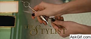 The Stylist
