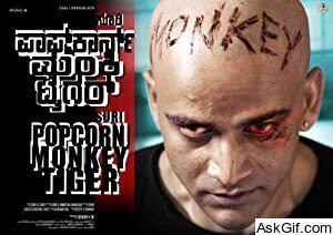 Popcorn Monkey Tiger