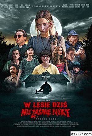 Nobody Sleeps in the Woods Tonight