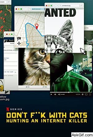 Don't F**k with Cats: Hunting an Internet Killer