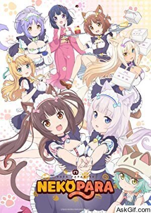 Nekopara