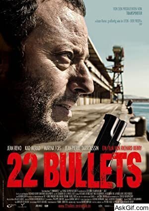22 Bullets